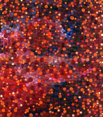 'Soap Bubbles Orange on Deep Magenta' - 2009, Oil on Canvas, 80x100 cm